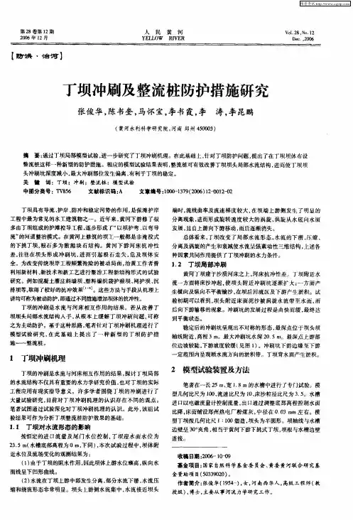丁坝冲刷及整流桩防护措施研究