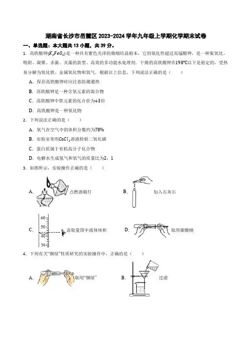 湖南省长沙市岳麓区2023-2024学年九年级上学期化学期末试卷