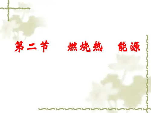 高二化学选修4 燃烧热 能源 课件