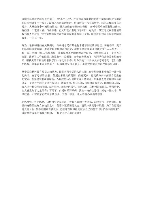 我们学校的一棵杨树作文