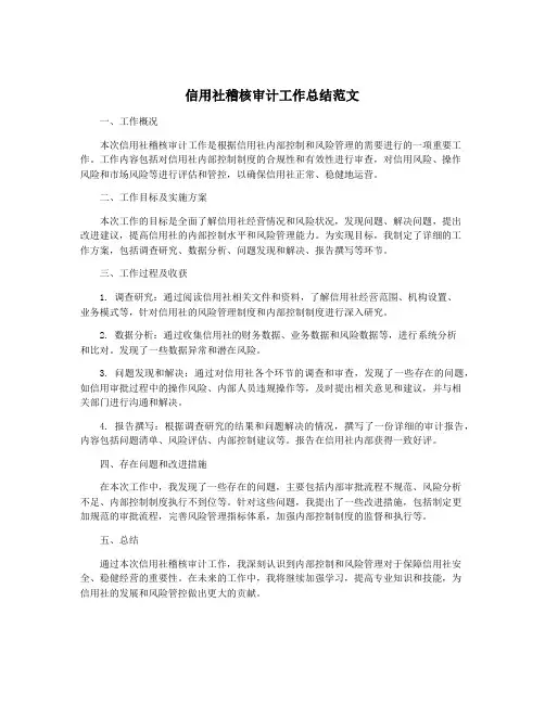 信用社稽核审计工作总结范文