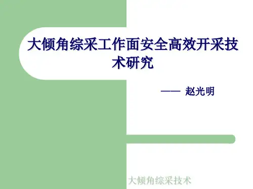 大倾角综采工作面安全高效开采技术的研究PPT精品文档66页