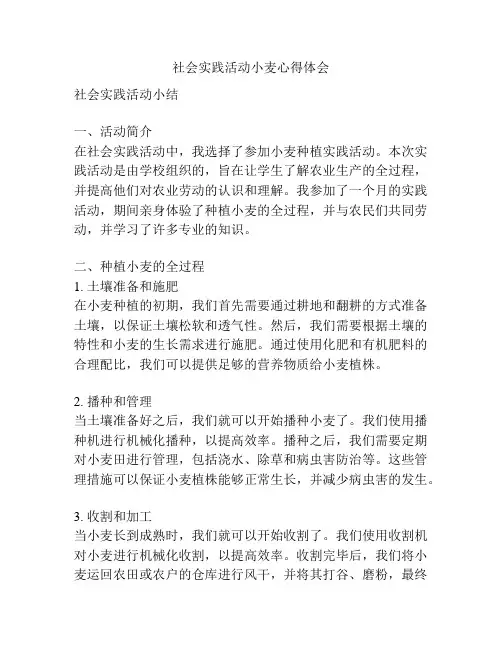 社会实践活动小麦心得体会