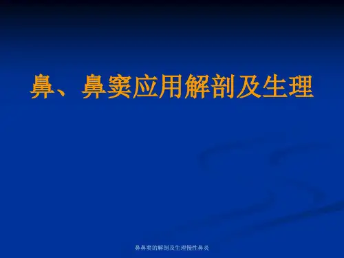 鼻鼻窦的解剖及生理慢性鼻炎