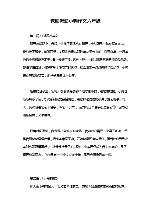 救助流浪小狗作文六年级