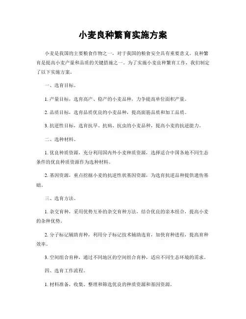 小麦良种繁育实施方案