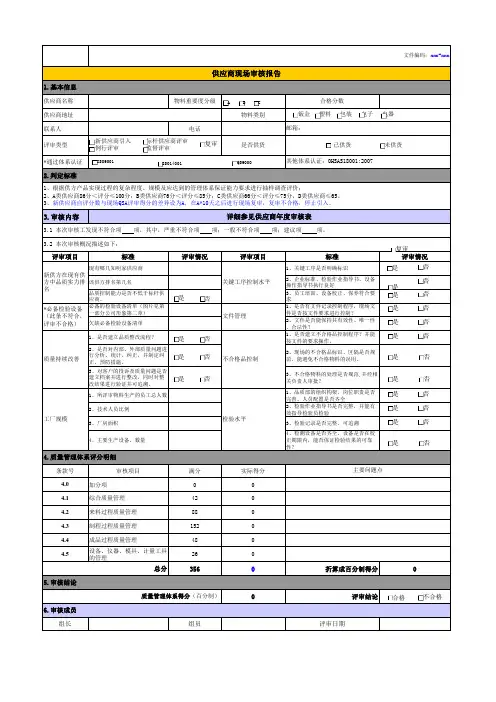 供应商现场审核报告 