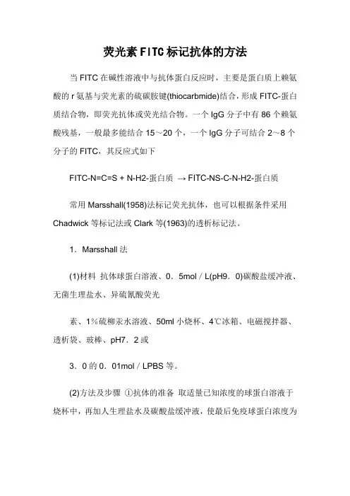 荧光素FITC标记抗体的方法