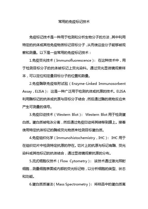 常用的免疫标记技术