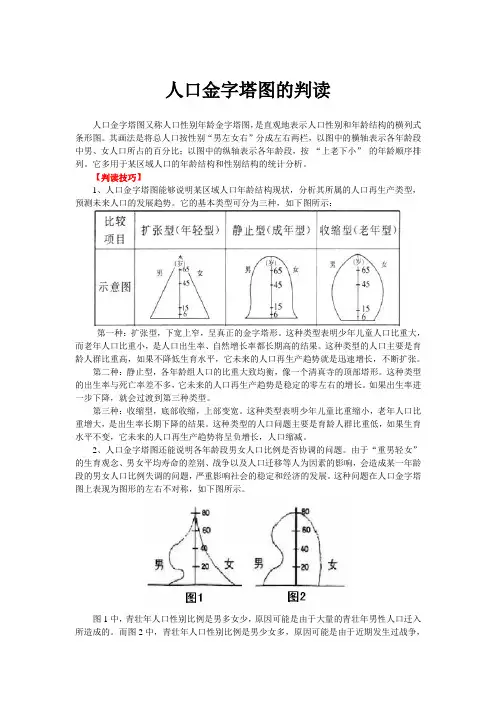 高中地理专项指导--人口金字塔图的判读