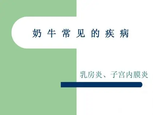 常见的奶牛疾病