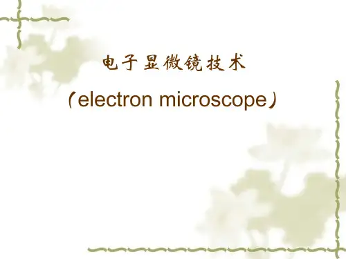 电子显微镜技术详细介绍