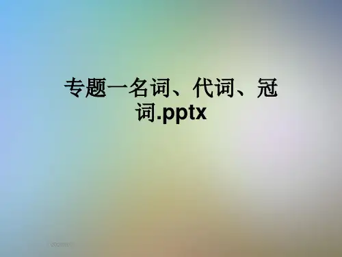 专题一名词、代词、冠词.pptx