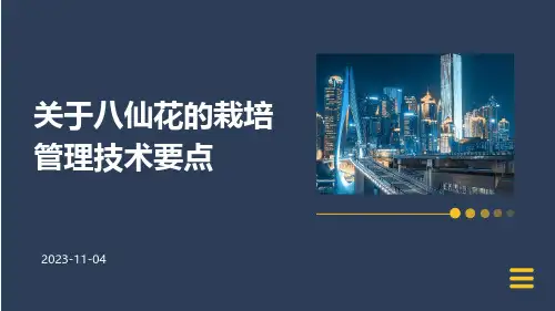 关于八仙花的栽培管理技术要点