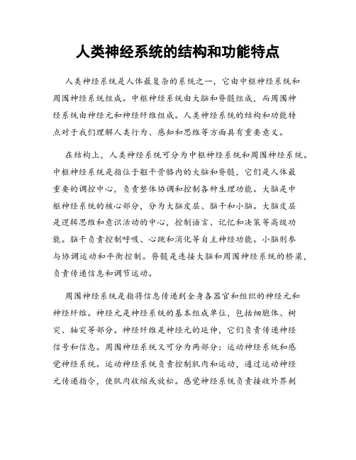 人类神经系统的结构和功能特点