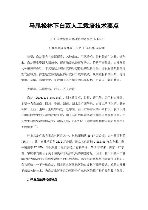 马尾松林下白芨人工栽培技术要点