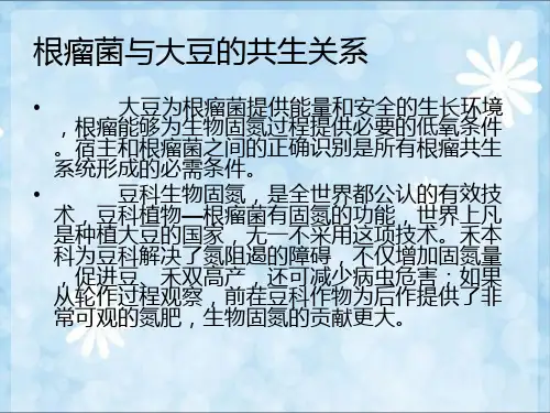 根瘤菌与大豆共生关系