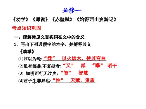 必修1考点知识巩固