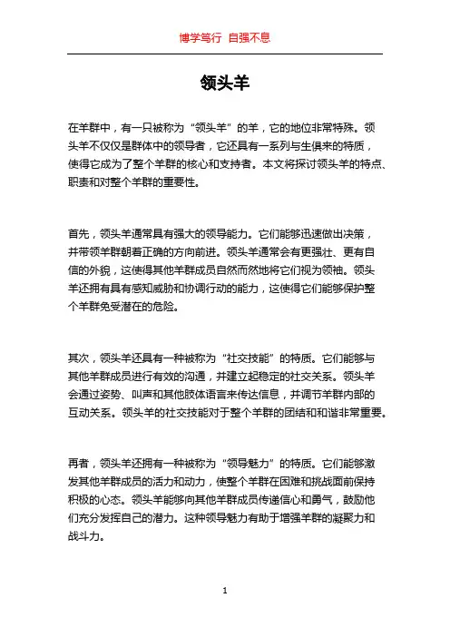 领头羊_精品文档