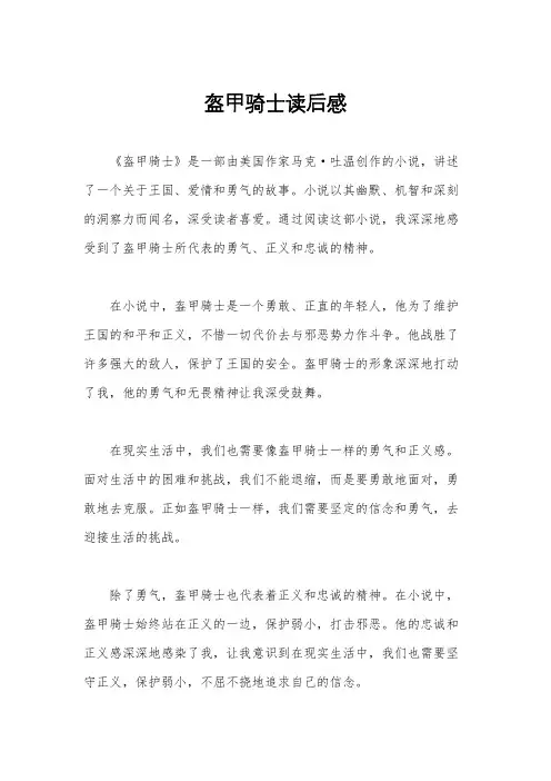 盔甲骑士读后感