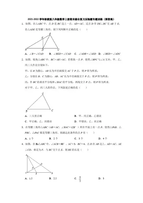 2021-2022学年浙教版八年级数学上册期末复习压轴题专题训练(word版 含解析)