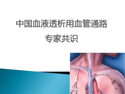 中国血液透析用血管通路专家共识1