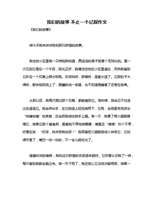 我们的故事 不止一个记叙作文