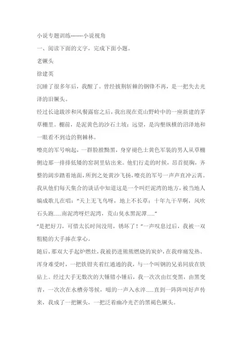 2023届高考语文复习小说专题训练-------小说视角(含答案)