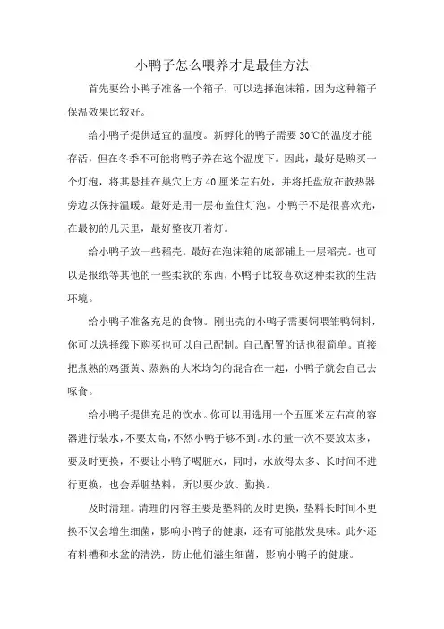 小鸭子怎么喂养才是最佳方法