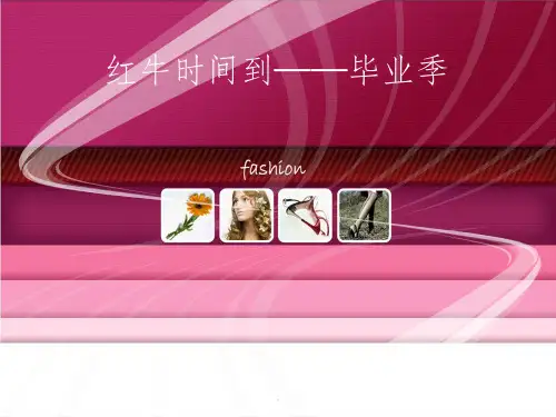 红牛的品牌分析ppt课件