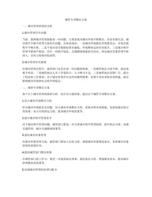 城管专项整治方案