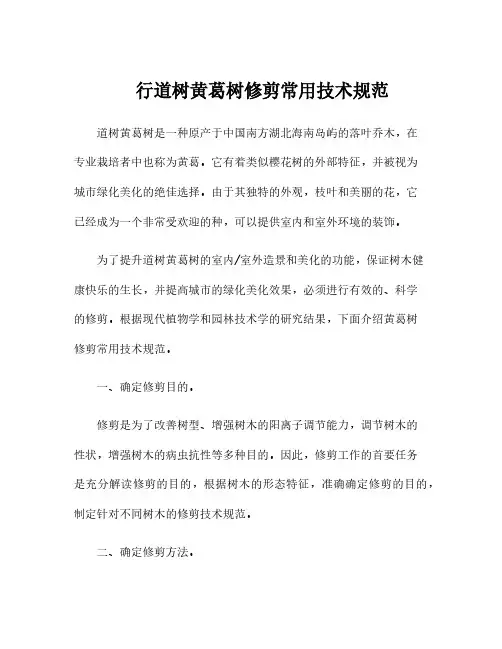 行道树黄葛树修剪常用技术规范