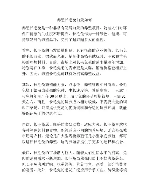 养殖长毛兔前景如何
