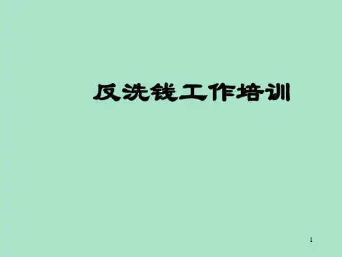 保险公司反洗钱工作培训课件