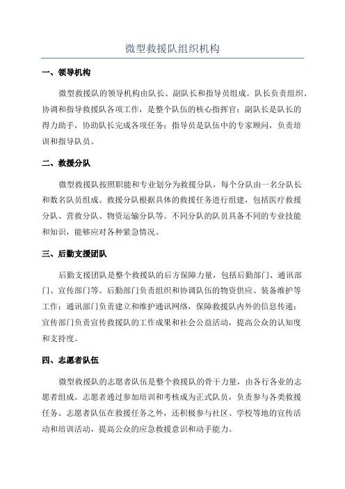 微型救援队组织机构