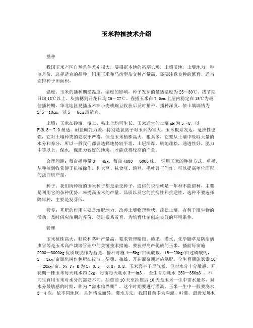 玉米种植技术介绍