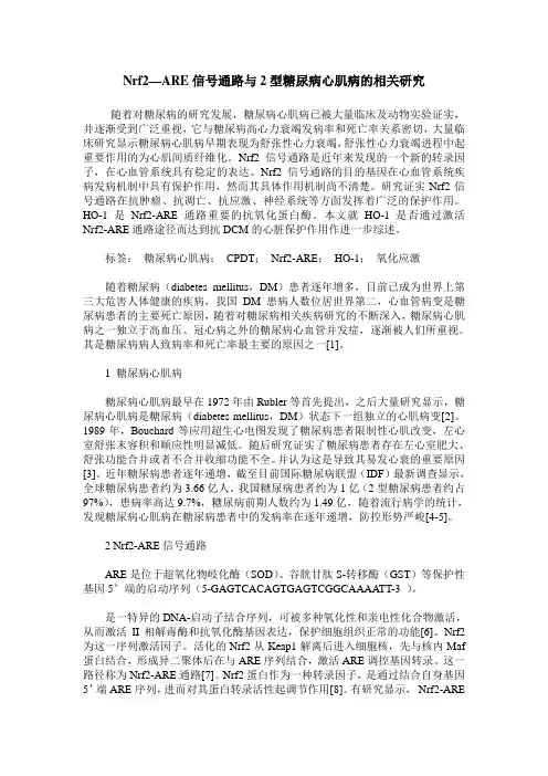 Nrf2—ARE信号通路与2型糖尿病心肌病的相关研究