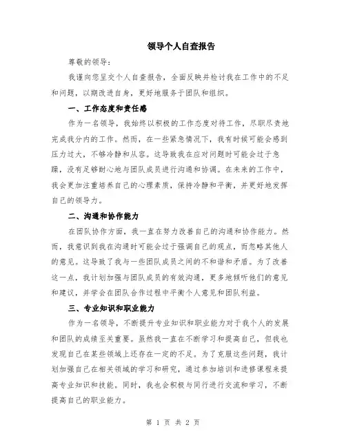 领导个人自查报告