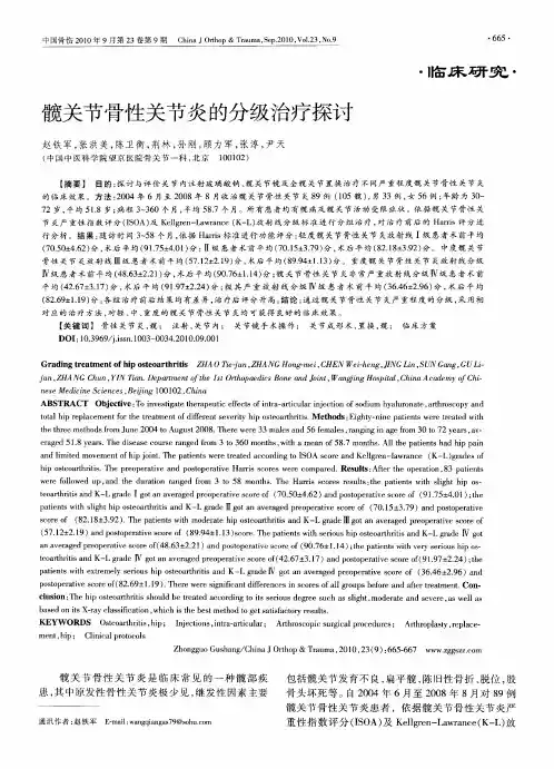 髋关节骨性关节炎的分级治疗探讨