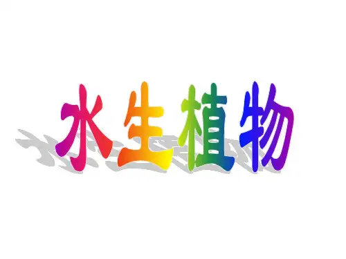 三年级上册科学实用教学课件- 水生植物 教科版(共22页)