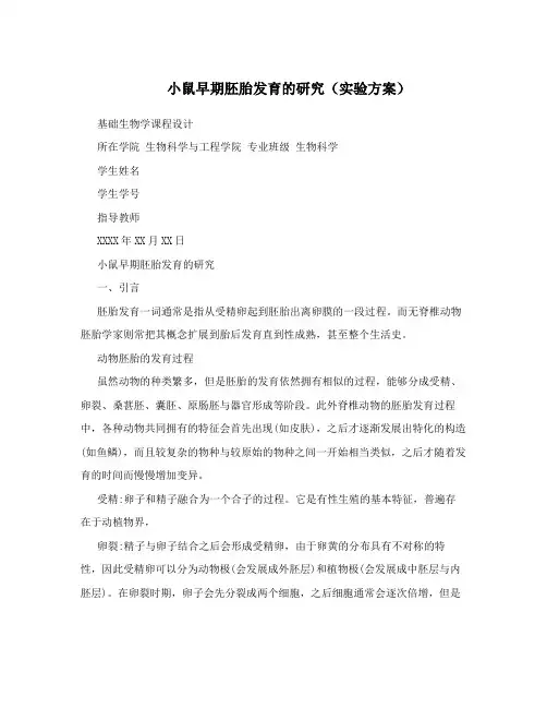 小鼠早期胚胎发育的研究 )