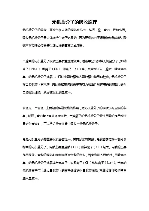 无机盐分子的吸收原理