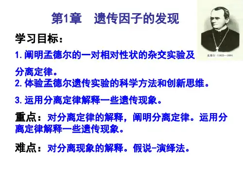 1.1 孟德尔的豌豆杂交实验(一)—人教版高中生物必修二课件  (共29张PPT)