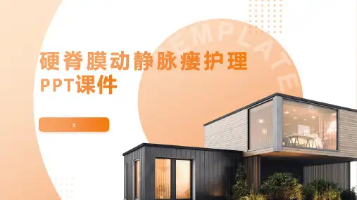 硬脊膜动静脉瘘护理PPT课件