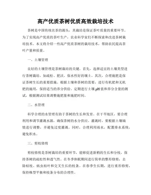 高产优质茶树优质高效栽培技术