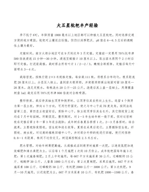 大五星枇杷丰产经验