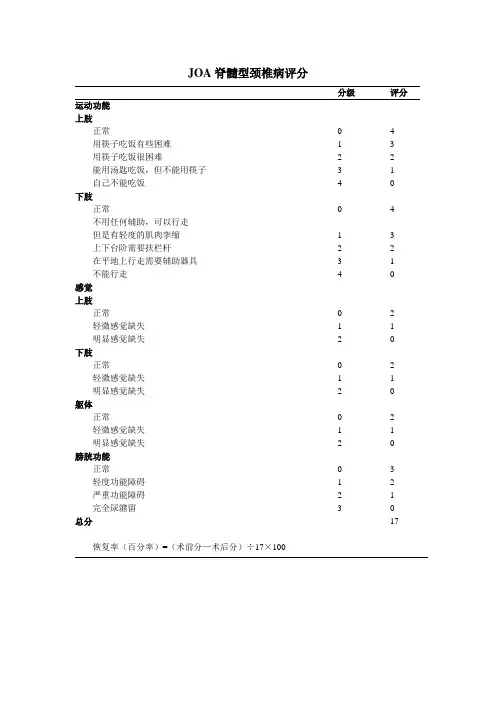 骨科功能评分标准