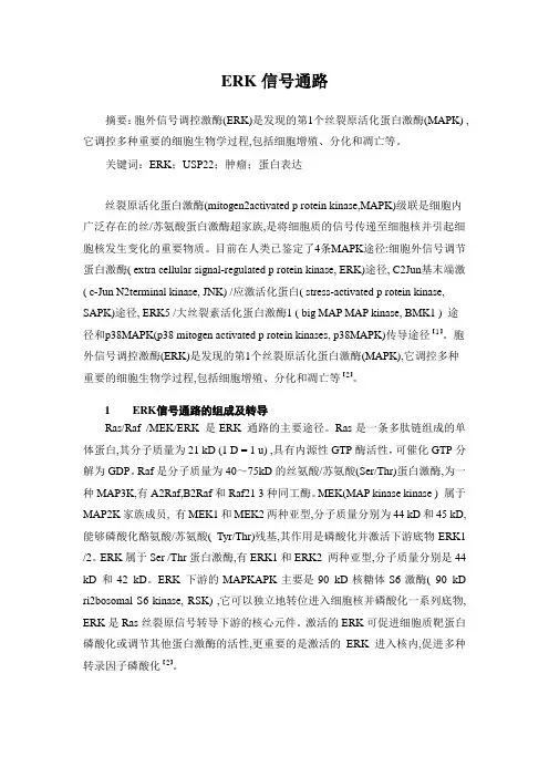 ERK信号通路介导丝裂原诱导USP22综述