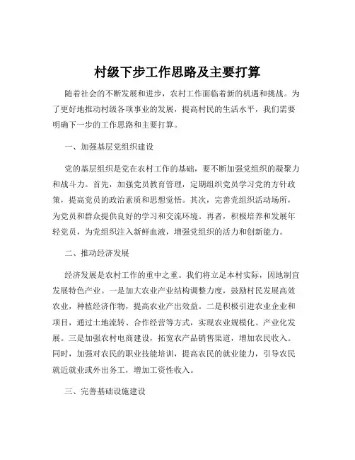 村级下步工作思路及主要打算
