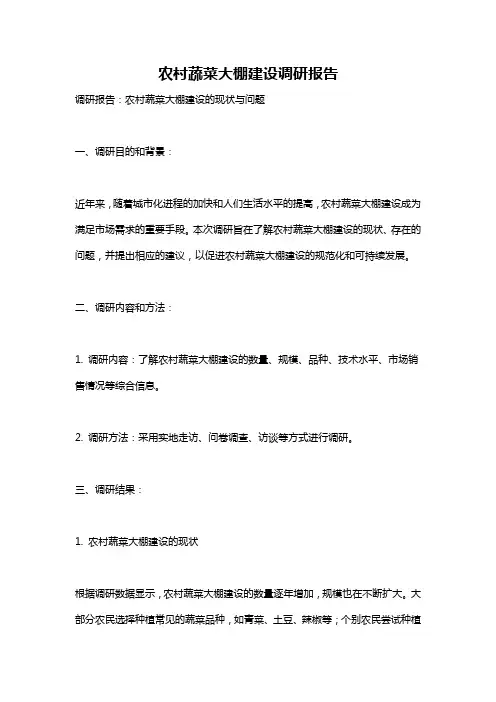 农村蔬菜大棚建设调研报告